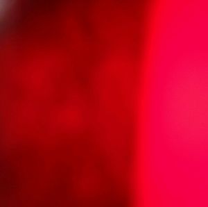 Meet your Posher, Sofia